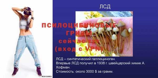 spice Алзамай