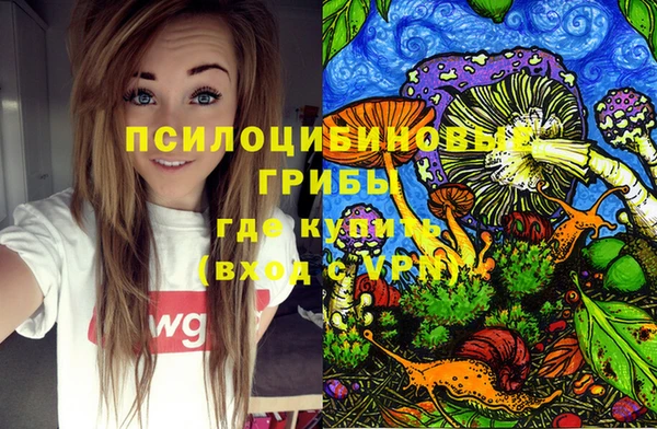 ешки Алексин