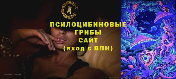 ешки Алексин