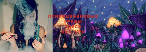 ешки Алексин