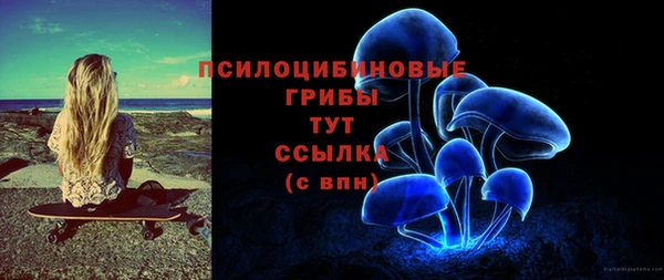 spice Алзамай