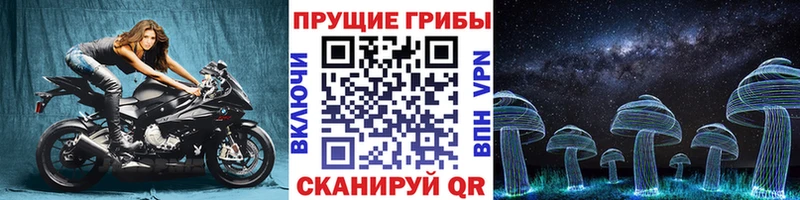 хочу   Невинномысск  Псилоцибиновые грибы Cubensis 